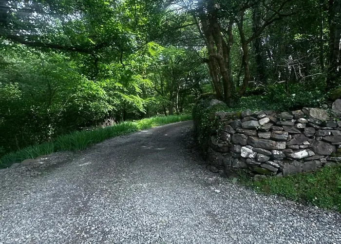 Old School House Bed and breakfast