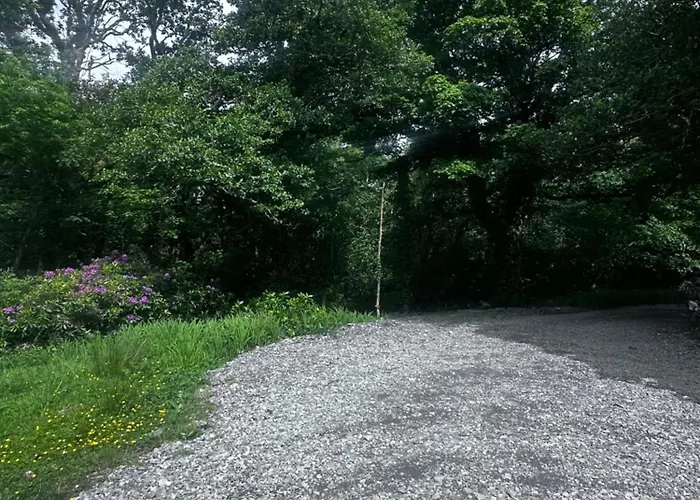 Bed and breakfast Old School House